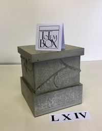 betonnen box met rondom wijnranken